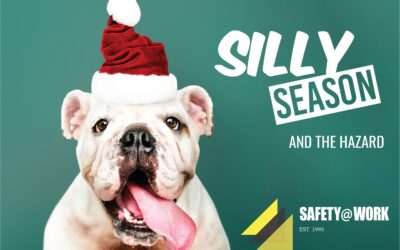 Silly season and the hazard of horseplay